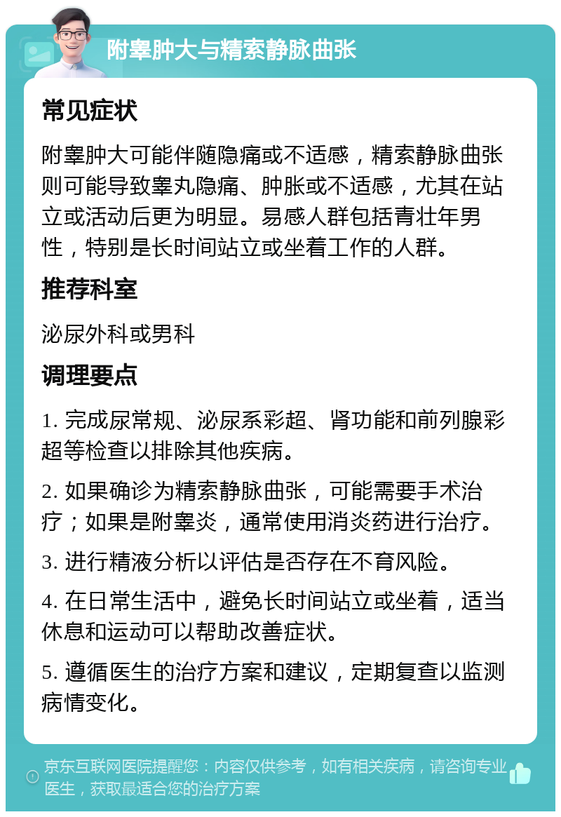 附睾肿大与精索静脉曲张 常见症状 附睾肿大可能伴随隐痛或不适感，精索静脉曲张则可能导致睾丸隐痛、肿胀或不适感，尤其在站立或活动后更为明显。易感人群包括青壮年男性，特别是长时间站立或坐着工作的人群。 推荐科室 泌尿外科或男科 调理要点 1. 完成尿常规、泌尿系彩超、肾功能和前列腺彩超等检查以排除其他疾病。 2. 如果确诊为精索静脉曲张，可能需要手术治疗；如果是附睾炎，通常使用消炎药进行治疗。 3. 进行精液分析以评估是否存在不育风险。 4. 在日常生活中，避免长时间站立或坐着，适当休息和运动可以帮助改善症状。 5. 遵循医生的治疗方案和建议，定期复查以监测病情变化。