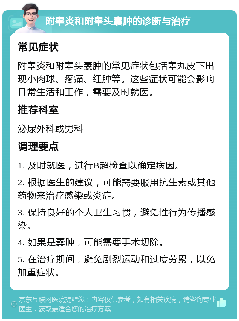 附睾炎和附睾头囊肿的诊断与治疗 常见症状 附睾炎和附睾头囊肿的常见症状包括睾丸皮下出现小肉球、疼痛、红肿等。这些症状可能会影响日常生活和工作，需要及时就医。 推荐科室 泌尿外科或男科 调理要点 1. 及时就医，进行B超检查以确定病因。 2. 根据医生的建议，可能需要服用抗生素或其他药物来治疗感染或炎症。 3. 保持良好的个人卫生习惯，避免性行为传播感染。 4. 如果是囊肿，可能需要手术切除。 5. 在治疗期间，避免剧烈运动和过度劳累，以免加重症状。