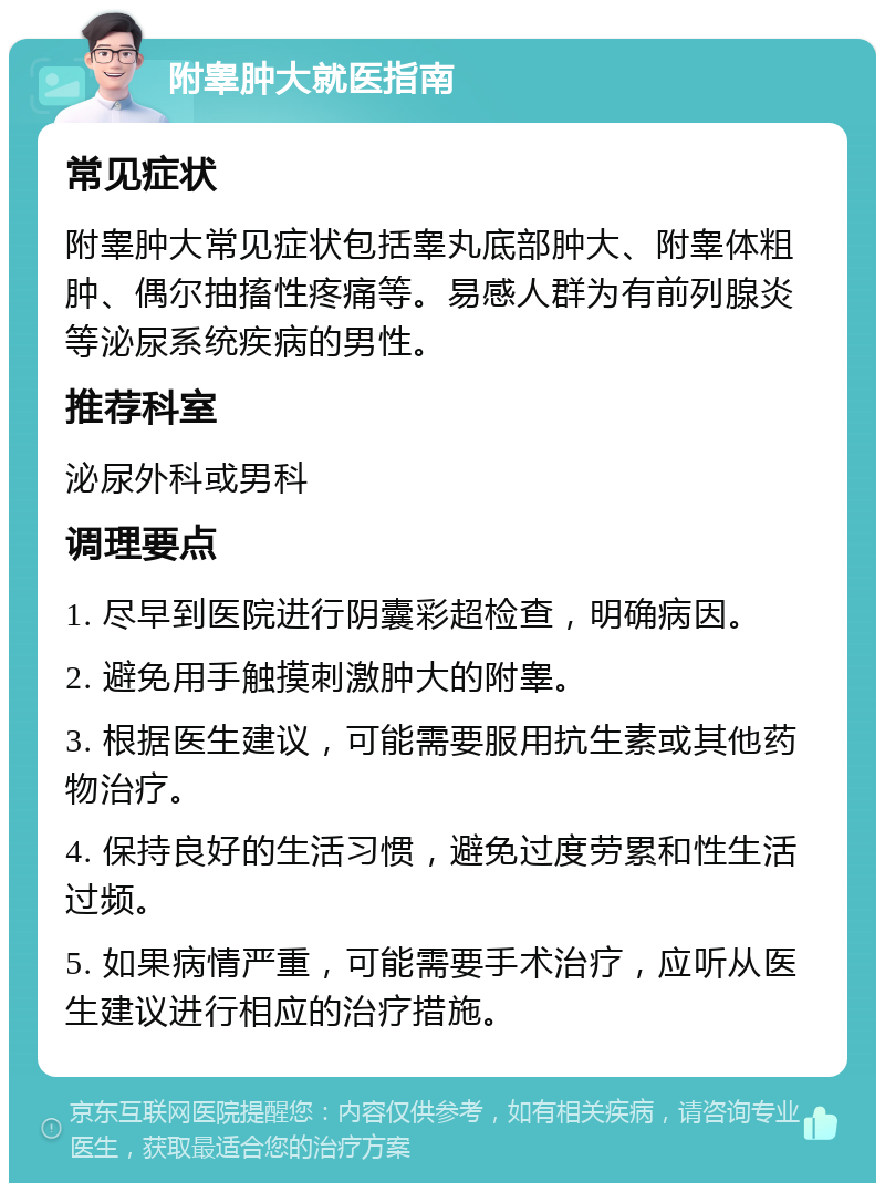 附睾肿大就医指南 常见症状 附睾肿大常见症状包括睾丸底部肿大、附睾体粗肿、偶尔抽搐性疼痛等。易感人群为有前列腺炎等泌尿系统疾病的男性。 推荐科室 泌尿外科或男科 调理要点 1. 尽早到医院进行阴囊彩超检查，明确病因。 2. 避免用手触摸刺激肿大的附睾。 3. 根据医生建议，可能需要服用抗生素或其他药物治疗。 4. 保持良好的生活习惯，避免过度劳累和性生活过频。 5. 如果病情严重，可能需要手术治疗，应听从医生建议进行相应的治疗措施。