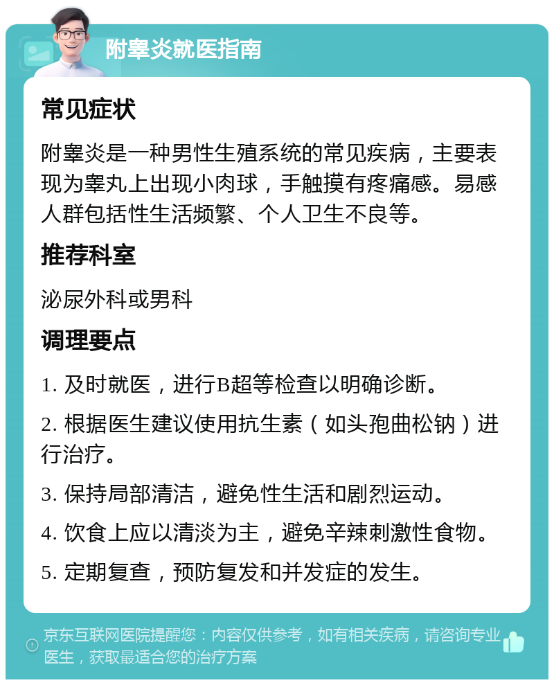 附睾炎就医指南 常见症状 附睾炎是一种男性生殖系统的常见疾病，主要表现为睾丸上出现小肉球，手触摸有疼痛感。易感人群包括性生活频繁、个人卫生不良等。 推荐科室 泌尿外科或男科 调理要点 1. 及时就医，进行B超等检查以明确诊断。 2. 根据医生建议使用抗生素（如头孢曲松钠）进行治疗。 3. 保持局部清洁，避免性生活和剧烈运动。 4. 饮食上应以清淡为主，避免辛辣刺激性食物。 5. 定期复查，预防复发和并发症的发生。