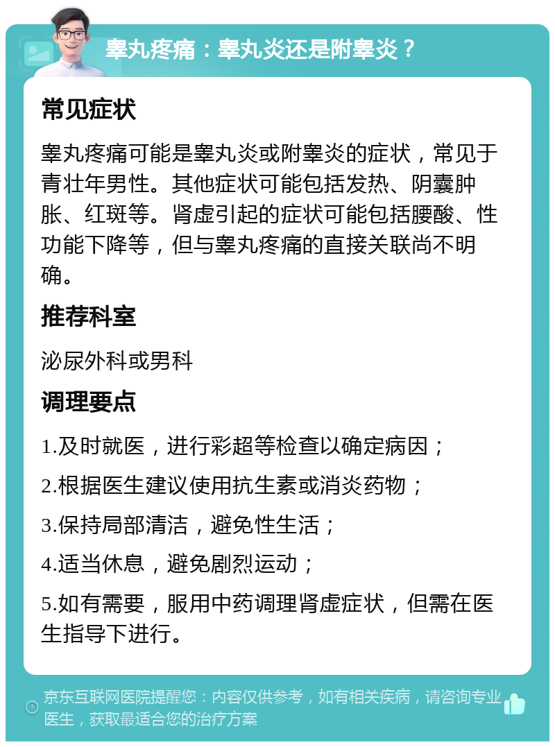 睾丸疼痛：睾丸炎还是附睾炎？ 常见症状 睾丸疼痛可能是睾丸炎或附睾炎的症状，常见于青壮年男性。其他症状可能包括发热、阴囊肿胀、红斑等。肾虚引起的症状可能包括腰酸、性功能下降等，但与睾丸疼痛的直接关联尚不明确。 推荐科室 泌尿外科或男科 调理要点 1.及时就医，进行彩超等检查以确定病因； 2.根据医生建议使用抗生素或消炎药物； 3.保持局部清洁，避免性生活； 4.适当休息，避免剧烈运动； 5.如有需要，服用中药调理肾虚症状，但需在医生指导下进行。