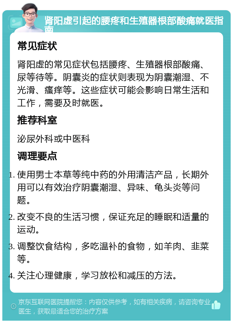 肾阳虚引起的腰疼和生殖器根部酸痛就医指南 常见症状 肾阳虚的常见症状包括腰疼、生殖器根部酸痛、尿等待等。阴囊炎的症状则表现为阴囊潮湿、不光滑、瘙痒等。这些症状可能会影响日常生活和工作，需要及时就医。 推荐科室 泌尿外科或中医科 调理要点 使用男士本草等纯中药的外用清洁产品，长期外用可以有效治疗阴囊潮湿、异味、龟头炎等问题。 改变不良的生活习惯，保证充足的睡眠和适量的运动。 调整饮食结构，多吃温补的食物，如羊肉、韭菜等。 关注心理健康，学习放松和减压的方法。