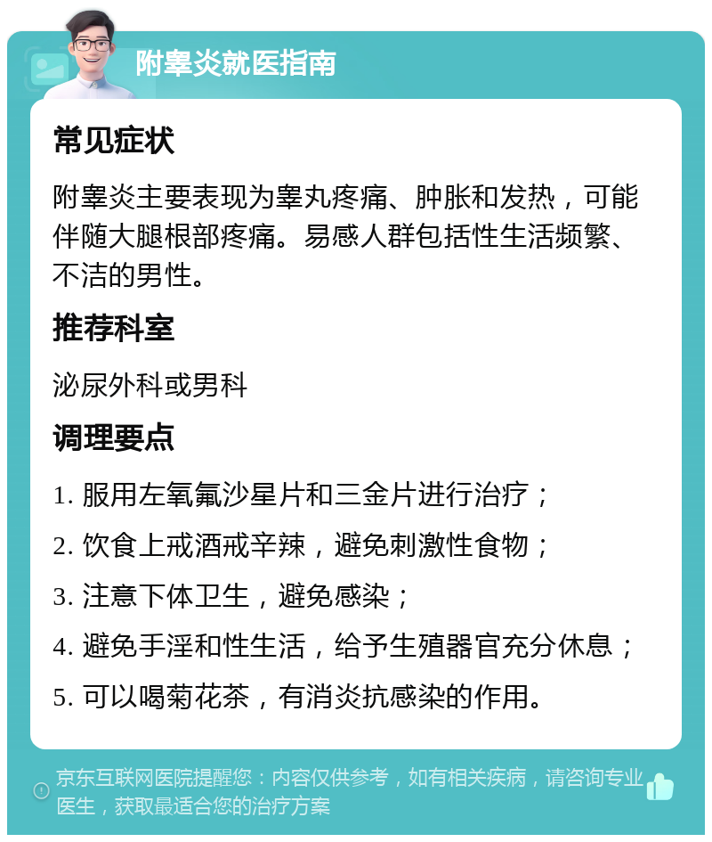 附睾炎就医指南 常见症状 附睾炎主要表现为睾丸疼痛、肿胀和发热，可能伴随大腿根部疼痛。易感人群包括性生活频繁、不洁的男性。 推荐科室 泌尿外科或男科 调理要点 1. 服用左氧氟沙星片和三金片进行治疗； 2. 饮食上戒酒戒辛辣，避免刺激性食物； 3. 注意下体卫生，避免感染； 4. 避免手淫和性生活，给予生殖器官充分休息； 5. 可以喝菊花茶，有消炎抗感染的作用。