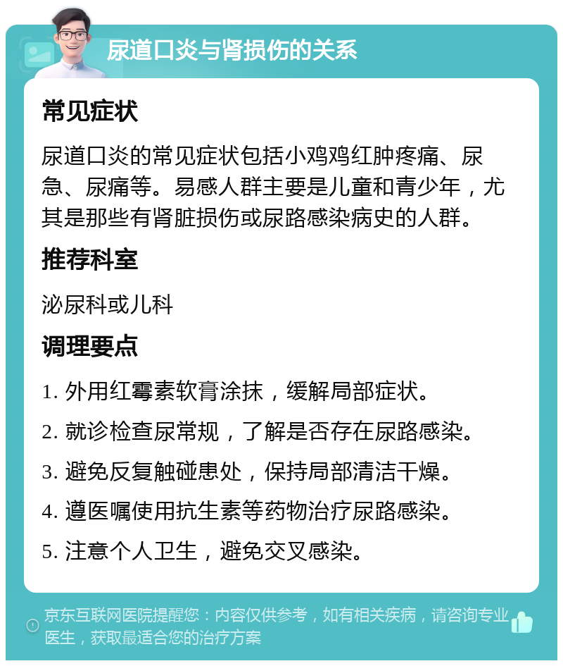 尿道口炎与肾损伤的关系 常见症状 尿道口炎的常见症状包括小鸡鸡红肿疼痛、尿急、尿痛等。易感人群主要是儿童和青少年，尤其是那些有肾脏损伤或尿路感染病史的人群。 推荐科室 泌尿科或儿科 调理要点 1. 外用红霉素软膏涂抹，缓解局部症状。 2. 就诊检查尿常规，了解是否存在尿路感染。 3. 避免反复触碰患处，保持局部清洁干燥。 4. 遵医嘱使用抗生素等药物治疗尿路感染。 5. 注意个人卫生，避免交叉感染。