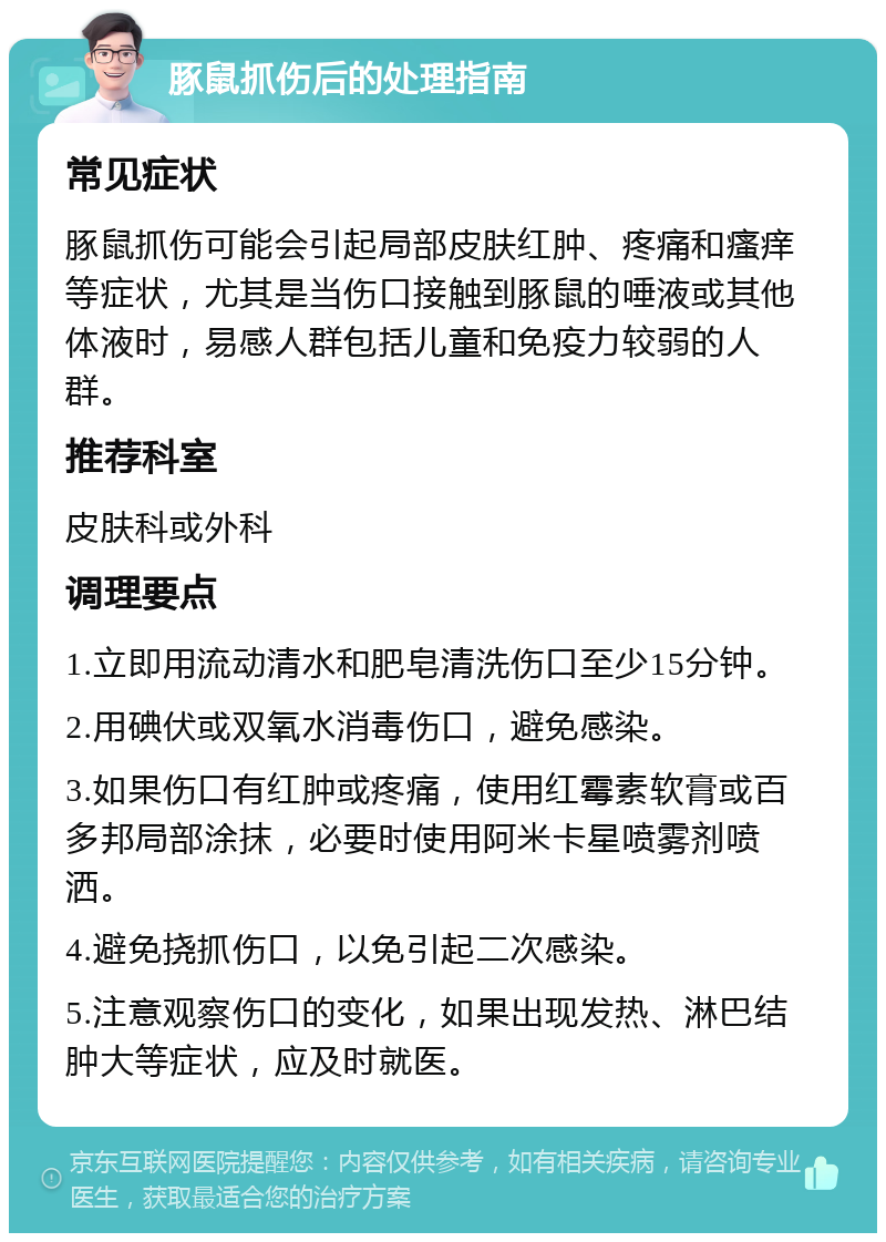 豚鼠抓伤后的处理指南 常见症状 豚鼠抓伤可能会引起局部皮肤红肿、疼痛和瘙痒等症状，尤其是当伤口接触到豚鼠的唾液或其他体液时，易感人群包括儿童和免疫力较弱的人群。 推荐科室 皮肤科或外科 调理要点 1.立即用流动清水和肥皂清洗伤口至少15分钟。 2.用碘伏或双氧水消毒伤口，避免感染。 3.如果伤口有红肿或疼痛，使用红霉素软膏或百多邦局部涂抹，必要时使用阿米卡星喷雾剂喷洒。 4.避免挠抓伤口，以免引起二次感染。 5.注意观察伤口的变化，如果出现发热、淋巴结肿大等症状，应及时就医。