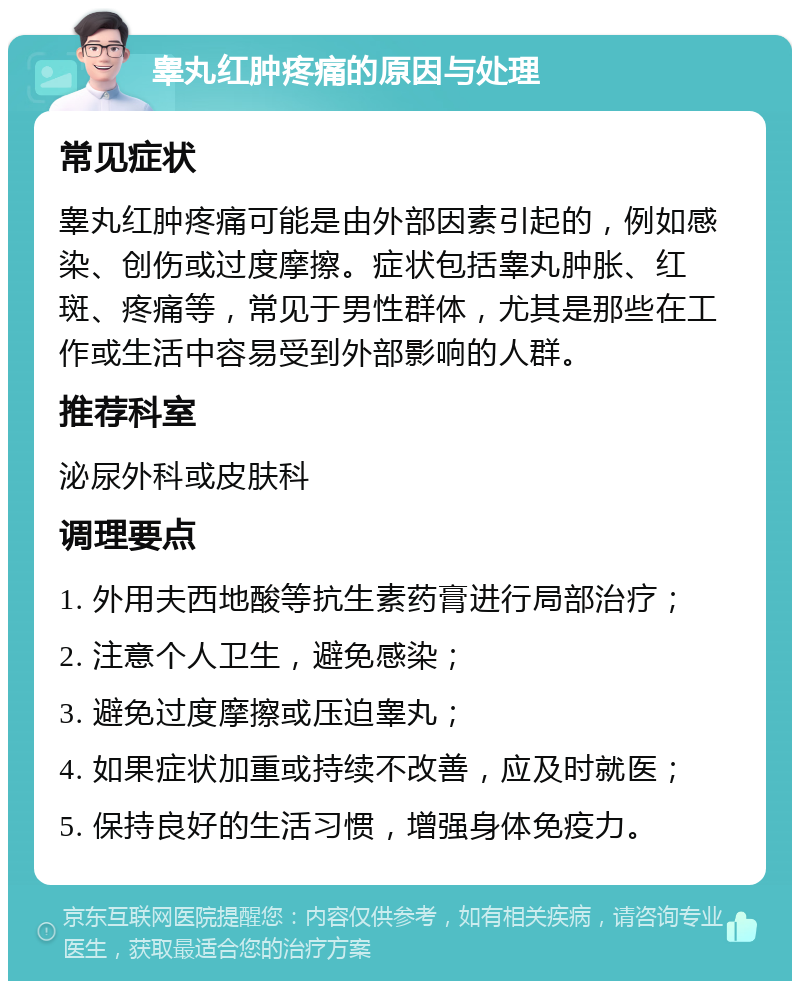 睾丸红肿疼痛的原因与处理 常见症状 睾丸红肿疼痛可能是由外部因素引起的，例如感染、创伤或过度摩擦。症状包括睾丸肿胀、红斑、疼痛等，常见于男性群体，尤其是那些在工作或生活中容易受到外部影响的人群。 推荐科室 泌尿外科或皮肤科 调理要点 1. 外用夫西地酸等抗生素药膏进行局部治疗； 2. 注意个人卫生，避免感染； 3. 避免过度摩擦或压迫睾丸； 4. 如果症状加重或持续不改善，应及时就医； 5. 保持良好的生活习惯，增强身体免疫力。