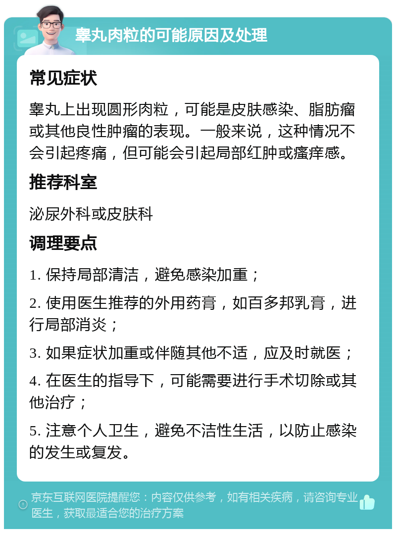 睾丸肉粒的可能原因及处理 常见症状 睾丸上出现圆形肉粒，可能是皮肤感染、脂肪瘤或其他良性肿瘤的表现。一般来说，这种情况不会引起疼痛，但可能会引起局部红肿或瘙痒感。 推荐科室 泌尿外科或皮肤科 调理要点 1. 保持局部清洁，避免感染加重； 2. 使用医生推荐的外用药膏，如百多邦乳膏，进行局部消炎； 3. 如果症状加重或伴随其他不适，应及时就医； 4. 在医生的指导下，可能需要进行手术切除或其他治疗； 5. 注意个人卫生，避免不洁性生活，以防止感染的发生或复发。