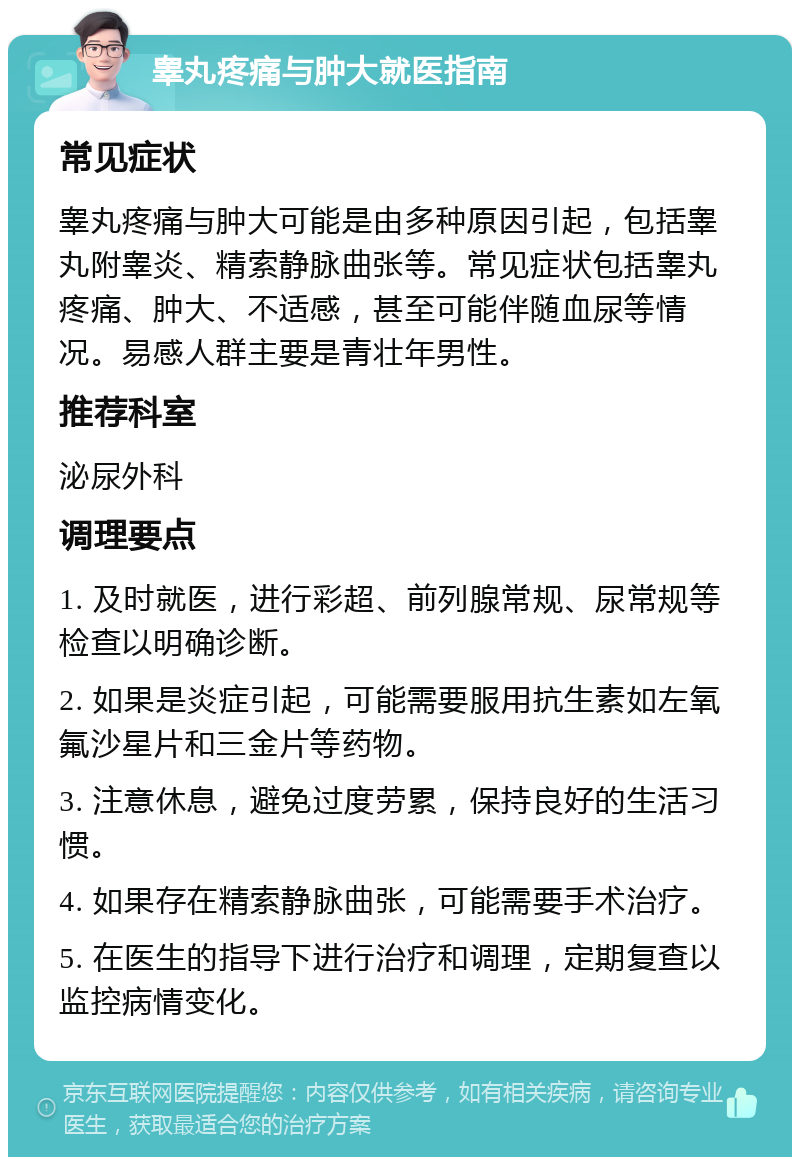 睾丸疼痛与肿大就医指南 常见症状 睾丸疼痛与肿大可能是由多种原因引起，包括睾丸附睾炎、精索静脉曲张等。常见症状包括睾丸疼痛、肿大、不适感，甚至可能伴随血尿等情况。易感人群主要是青壮年男性。 推荐科室 泌尿外科 调理要点 1. 及时就医，进行彩超、前列腺常规、尿常规等检查以明确诊断。 2. 如果是炎症引起，可能需要服用抗生素如左氧氟沙星片和三金片等药物。 3. 注意休息，避免过度劳累，保持良好的生活习惯。 4. 如果存在精索静脉曲张，可能需要手术治疗。 5. 在医生的指导下进行治疗和调理，定期复查以监控病情变化。