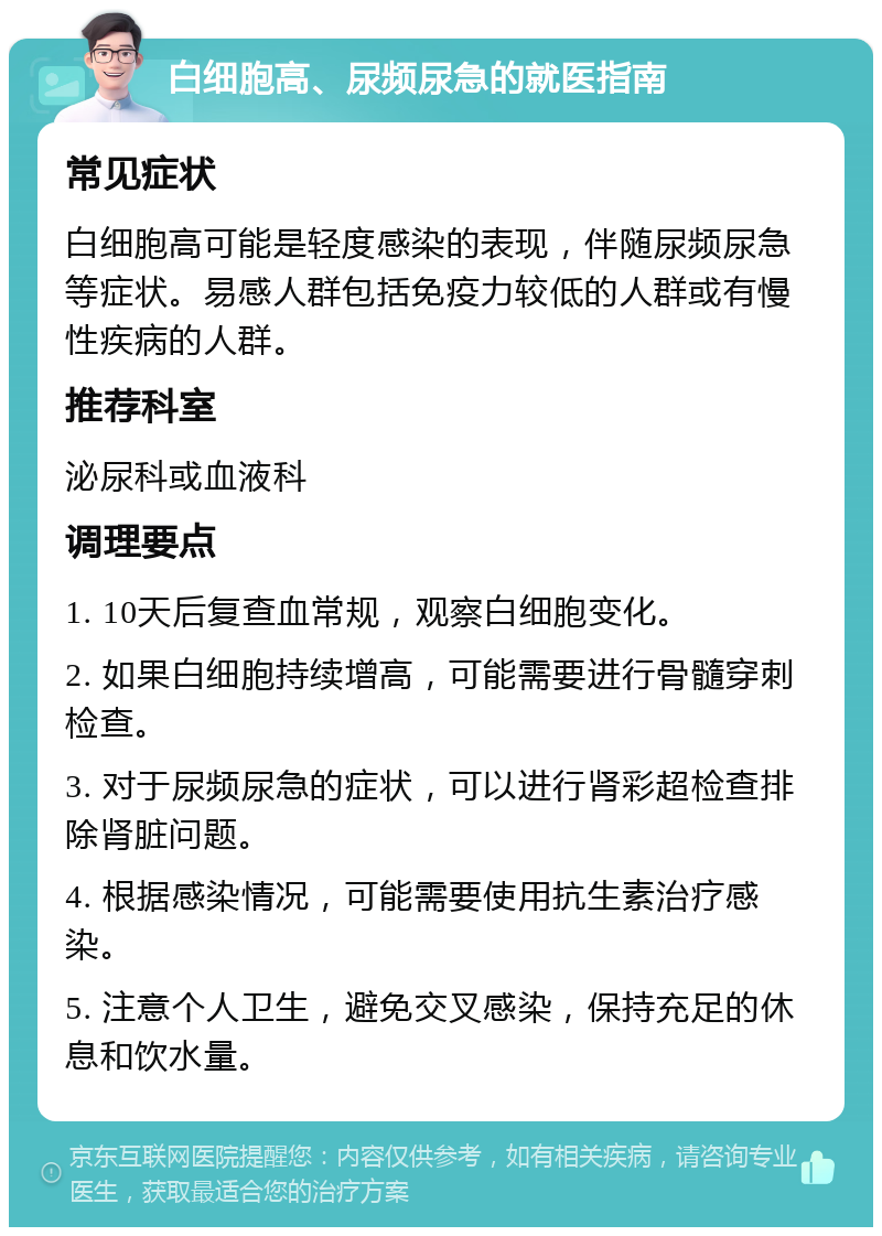 白细胞高、尿频尿急的就医指南 常见症状 白细胞高可能是轻度感染的表现，伴随尿频尿急等症状。易感人群包括免疫力较低的人群或有慢性疾病的人群。 推荐科室 泌尿科或血液科 调理要点 1. 10天后复查血常规，观察白细胞变化。 2. 如果白细胞持续增高，可能需要进行骨髓穿刺检查。 3. 对于尿频尿急的症状，可以进行肾彩超检查排除肾脏问题。 4. 根据感染情况，可能需要使用抗生素治疗感染。 5. 注意个人卫生，避免交叉感染，保持充足的休息和饮水量。