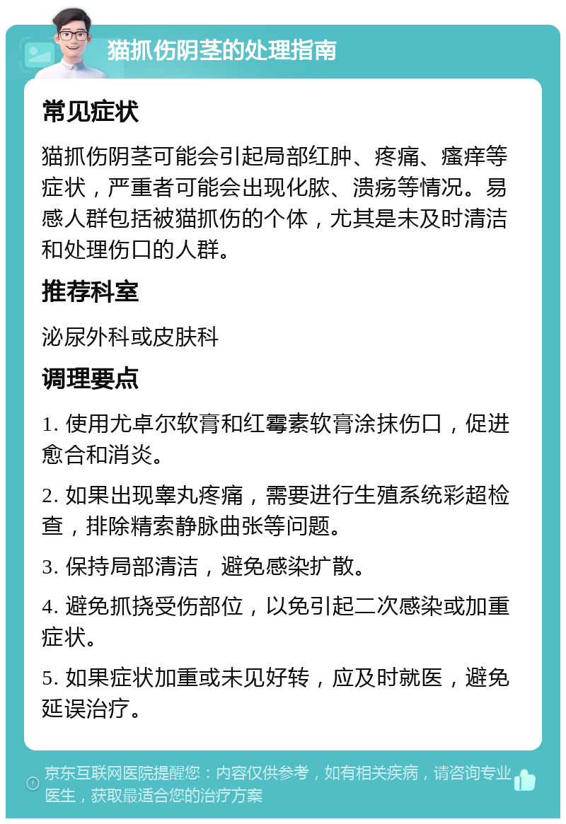 猫抓伤阴茎的处理指南 常见症状 猫抓伤阴茎可能会引起局部红肿、疼痛、瘙痒等症状，严重者可能会出现化脓、溃疡等情况。易感人群包括被猫抓伤的个体，尤其是未及时清洁和处理伤口的人群。 推荐科室 泌尿外科或皮肤科 调理要点 1. 使用尤卓尔软膏和红霉素软膏涂抹伤口，促进愈合和消炎。 2. 如果出现睾丸疼痛，需要进行生殖系统彩超检查，排除精索静脉曲张等问题。 3. 保持局部清洁，避免感染扩散。 4. 避免抓挠受伤部位，以免引起二次感染或加重症状。 5. 如果症状加重或未见好转，应及时就医，避免延误治疗。