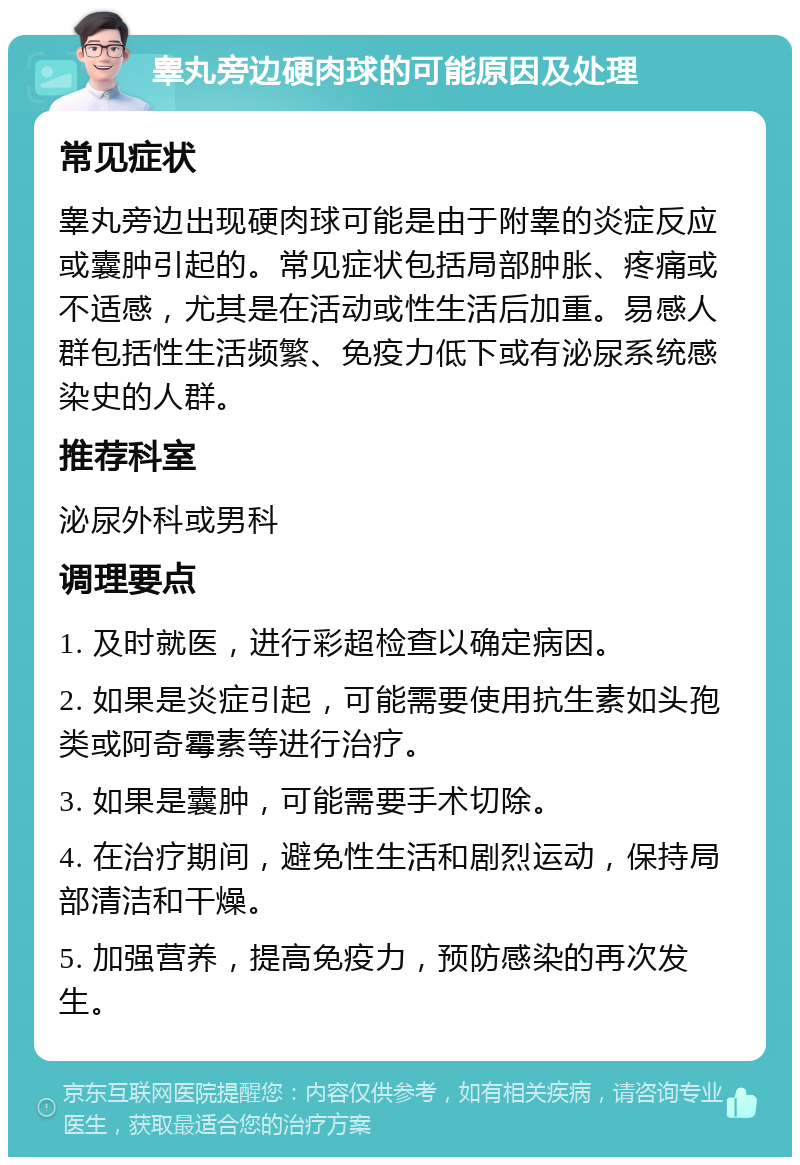 睾丸旁边硬肉球的可能原因及处理 常见症状 睾丸旁边出现硬肉球可能是由于附睾的炎症反应或囊肿引起的。常见症状包括局部肿胀、疼痛或不适感，尤其是在活动或性生活后加重。易感人群包括性生活频繁、免疫力低下或有泌尿系统感染史的人群。 推荐科室 泌尿外科或男科 调理要点 1. 及时就医，进行彩超检查以确定病因。 2. 如果是炎症引起，可能需要使用抗生素如头孢类或阿奇霉素等进行治疗。 3. 如果是囊肿，可能需要手术切除。 4. 在治疗期间，避免性生活和剧烈运动，保持局部清洁和干燥。 5. 加强营养，提高免疫力，预防感染的再次发生。