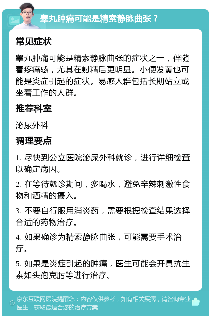 睾丸肿痛可能是精索静脉曲张？ 常见症状 睾丸肿痛可能是精索静脉曲张的症状之一，伴随着疼痛感，尤其在射精后更明显。小便发黄也可能是炎症引起的症状。易感人群包括长期站立或坐着工作的人群。 推荐科室 泌尿外科 调理要点 1. 尽快到公立医院泌尿外科就诊，进行详细检查以确定病因。 2. 在等待就诊期间，多喝水，避免辛辣刺激性食物和酒精的摄入。 3. 不要自行服用消炎药，需要根据检查结果选择合适的药物治疗。 4. 如果确诊为精索静脉曲张，可能需要手术治疗。 5. 如果是炎症引起的肿痛，医生可能会开具抗生素如头孢克肟等进行治疗。