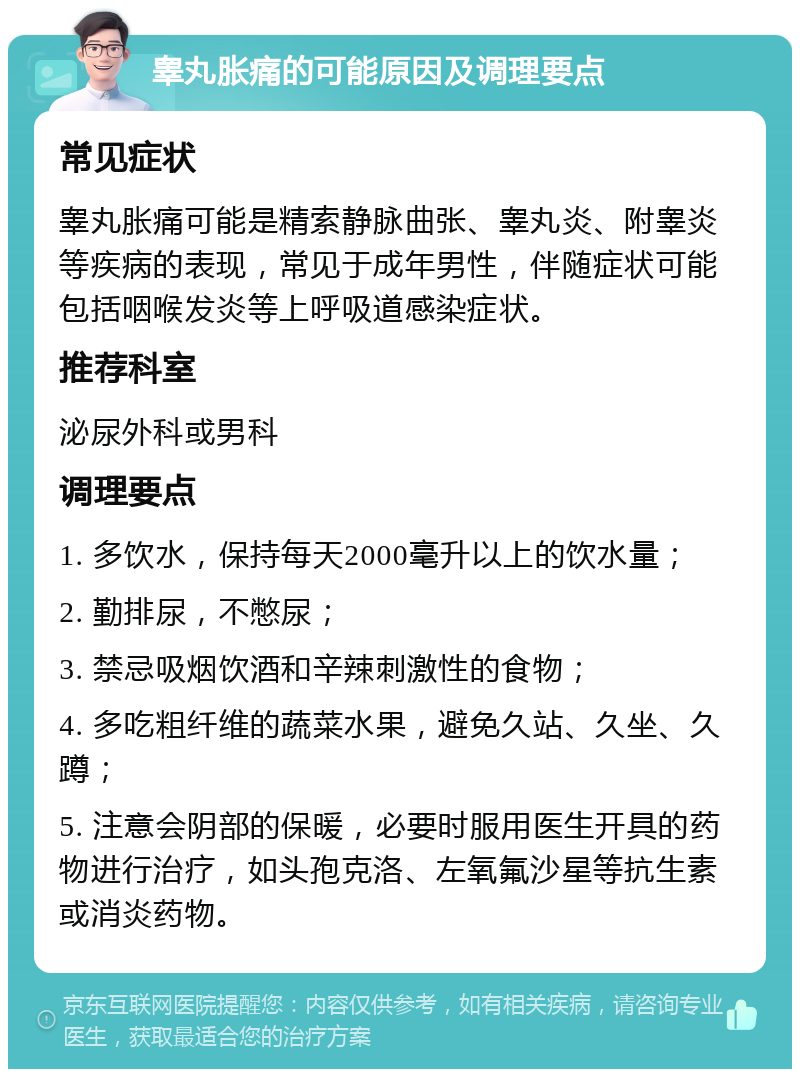 睾丸胀痛的可能原因及调理要点 常见症状 睾丸胀痛可能是精索静脉曲张、睾丸炎、附睾炎等疾病的表现，常见于成年男性，伴随症状可能包括咽喉发炎等上呼吸道感染症状。 推荐科室 泌尿外科或男科 调理要点 1. 多饮水，保持每天2000毫升以上的饮水量； 2. 勤排尿，不憋尿； 3. 禁忌吸烟饮酒和辛辣刺激性的食物； 4. 多吃粗纤维的蔬菜水果，避免久站、久坐、久蹲； 5. 注意会阴部的保暖，必要时服用医生开具的药物进行治疗，如头孢克洛、左氧氟沙星等抗生素或消炎药物。