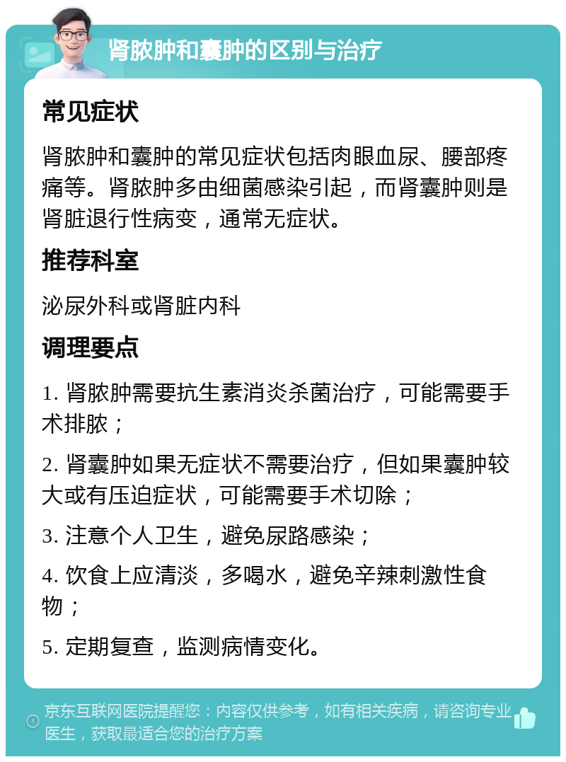 肾脓肿和囊肿的区别与治疗 常见症状 肾脓肿和囊肿的常见症状包括肉眼血尿、腰部疼痛等。肾脓肿多由细菌感染引起，而肾囊肿则是肾脏退行性病变，通常无症状。 推荐科室 泌尿外科或肾脏内科 调理要点 1. 肾脓肿需要抗生素消炎杀菌治疗，可能需要手术排脓； 2. 肾囊肿如果无症状不需要治疗，但如果囊肿较大或有压迫症状，可能需要手术切除； 3. 注意个人卫生，避免尿路感染； 4. 饮食上应清淡，多喝水，避免辛辣刺激性食物； 5. 定期复查，监测病情变化。