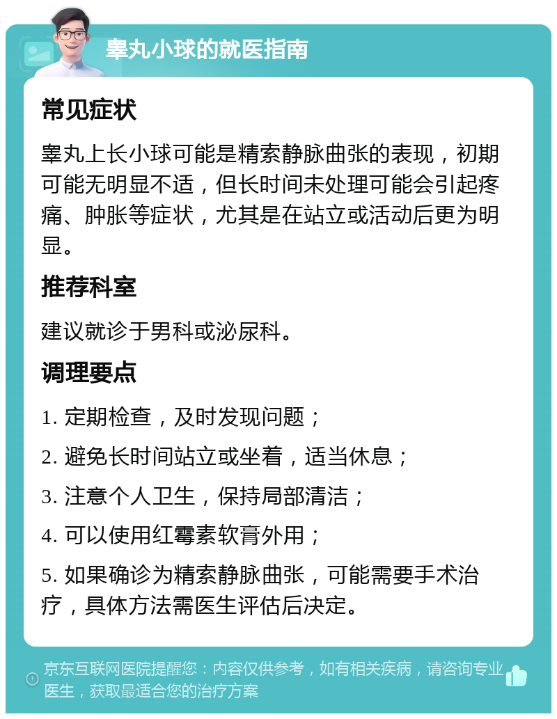 睾丸小球的就医指南 常见症状 睾丸上长小球可能是精索静脉曲张的表现，初期可能无明显不适，但长时间未处理可能会引起疼痛、肿胀等症状，尤其是在站立或活动后更为明显。 推荐科室 建议就诊于男科或泌尿科。 调理要点 1. 定期检查，及时发现问题； 2. 避免长时间站立或坐着，适当休息； 3. 注意个人卫生，保持局部清洁； 4. 可以使用红霉素软膏外用； 5. 如果确诊为精索静脉曲张，可能需要手术治疗，具体方法需医生评估后决定。