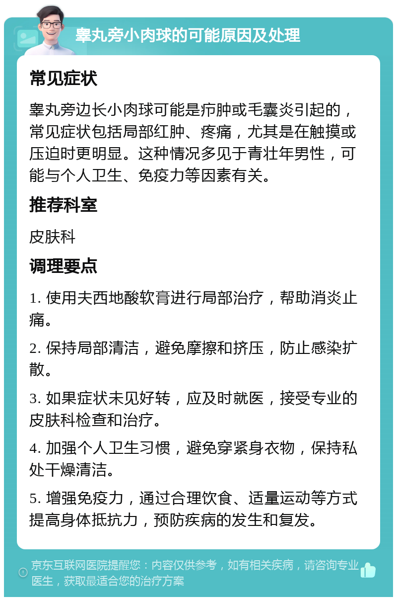 睾丸旁小肉球的可能原因及处理 常见症状 睾丸旁边长小肉球可能是疖肿或毛囊炎引起的，常见症状包括局部红肿、疼痛，尤其是在触摸或压迫时更明显。这种情况多见于青壮年男性，可能与个人卫生、免疫力等因素有关。 推荐科室 皮肤科 调理要点 1. 使用夫西地酸软膏进行局部治疗，帮助消炎止痛。 2. 保持局部清洁，避免摩擦和挤压，防止感染扩散。 3. 如果症状未见好转，应及时就医，接受专业的皮肤科检查和治疗。 4. 加强个人卫生习惯，避免穿紧身衣物，保持私处干燥清洁。 5. 增强免疫力，通过合理饮食、适量运动等方式提高身体抵抗力，预防疾病的发生和复发。