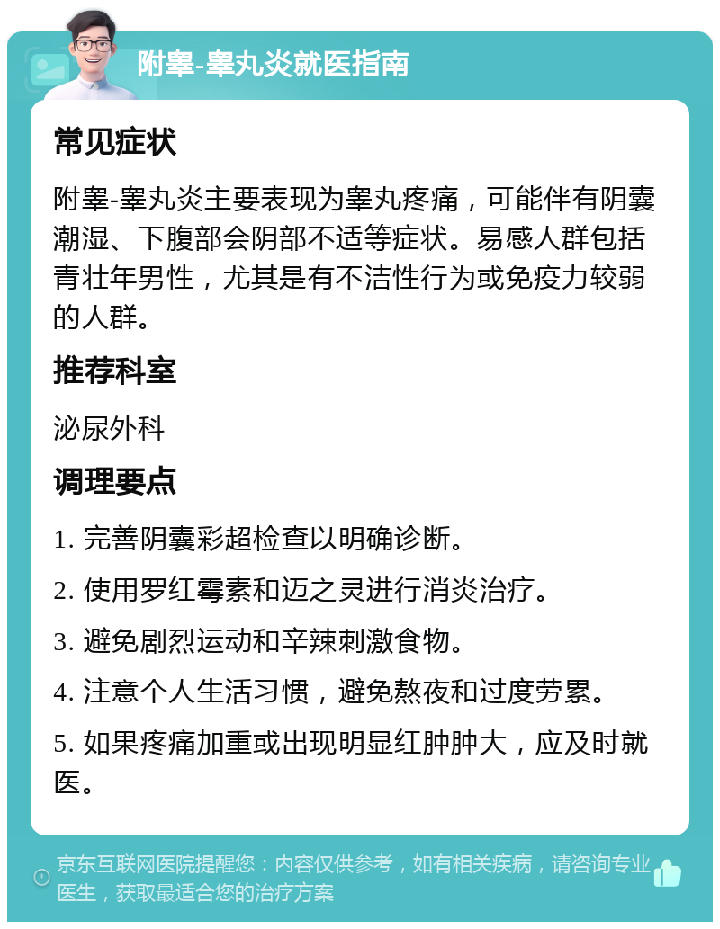 附睾-睾丸炎就医指南 常见症状 附睾-睾丸炎主要表现为睾丸疼痛，可能伴有阴囊潮湿、下腹部会阴部不适等症状。易感人群包括青壮年男性，尤其是有不洁性行为或免疫力较弱的人群。 推荐科室 泌尿外科 调理要点 1. 完善阴囊彩超检查以明确诊断。 2. 使用罗红霉素和迈之灵进行消炎治疗。 3. 避免剧烈运动和辛辣刺激食物。 4. 注意个人生活习惯，避免熬夜和过度劳累。 5. 如果疼痛加重或出现明显红肿肿大，应及时就医。