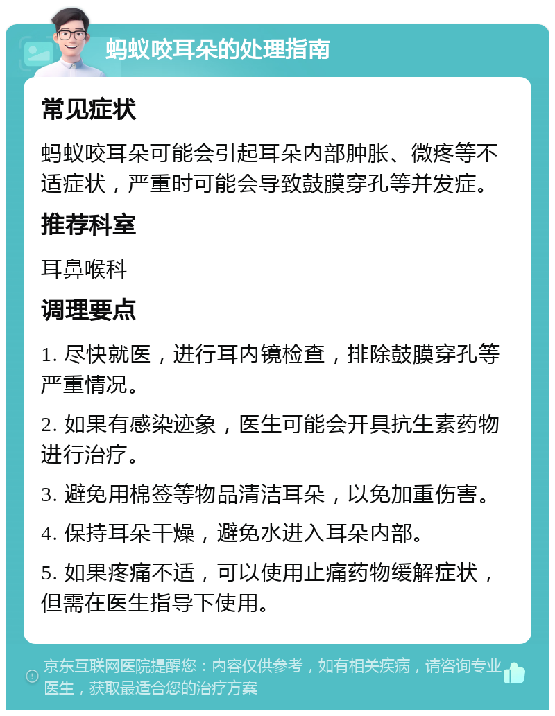 蚂蚁咬耳朵的处理指南 常见症状 蚂蚁咬耳朵可能会引起耳朵内部肿胀、微疼等不适症状，严重时可能会导致鼓膜穿孔等并发症。 推荐科室 耳鼻喉科 调理要点 1. 尽快就医，进行耳内镜检查，排除鼓膜穿孔等严重情况。 2. 如果有感染迹象，医生可能会开具抗生素药物进行治疗。 3. 避免用棉签等物品清洁耳朵，以免加重伤害。 4. 保持耳朵干燥，避免水进入耳朵内部。 5. 如果疼痛不适，可以使用止痛药物缓解症状，但需在医生指导下使用。