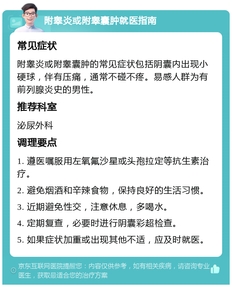 附睾炎或附睾囊肿就医指南 常见症状 附睾炎或附睾囊肿的常见症状包括阴囊内出现小硬球，伴有压痛，通常不碰不疼。易感人群为有前列腺炎史的男性。 推荐科室 泌尿外科 调理要点 1. 遵医嘱服用左氧氟沙星或头孢拉定等抗生素治疗。 2. 避免烟酒和辛辣食物，保持良好的生活习惯。 3. 近期避免性交，注意休息，多喝水。 4. 定期复查，必要时进行阴囊彩超检查。 5. 如果症状加重或出现其他不适，应及时就医。