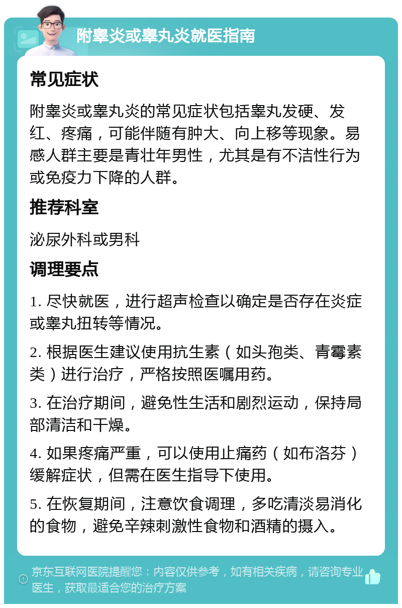 附睾炎或睾丸炎就医指南 常见症状 附睾炎或睾丸炎的常见症状包括睾丸发硬、发红、疼痛，可能伴随有肿大、向上移等现象。易感人群主要是青壮年男性，尤其是有不洁性行为或免疫力下降的人群。 推荐科室 泌尿外科或男科 调理要点 1. 尽快就医，进行超声检查以确定是否存在炎症或睾丸扭转等情况。 2. 根据医生建议使用抗生素（如头孢类、青霉素类）进行治疗，严格按照医嘱用药。 3. 在治疗期间，避免性生活和剧烈运动，保持局部清洁和干燥。 4. 如果疼痛严重，可以使用止痛药（如布洛芬）缓解症状，但需在医生指导下使用。 5. 在恢复期间，注意饮食调理，多吃清淡易消化的食物，避免辛辣刺激性食物和酒精的摄入。