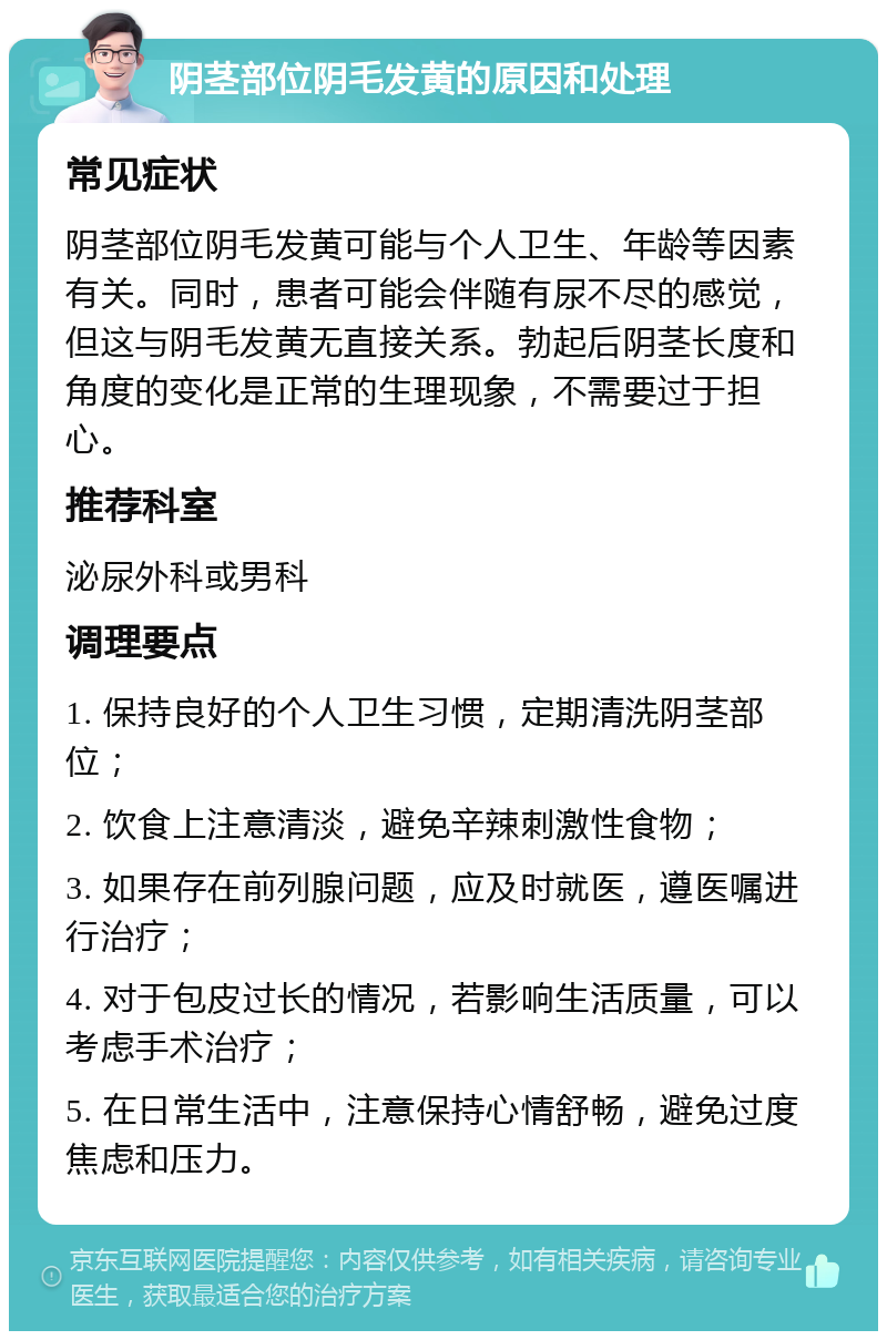 阴茎部位阴毛发黄的原因和处理 常见症状 阴茎部位阴毛发黄可能与个人卫生、年龄等因素有关。同时，患者可能会伴随有尿不尽的感觉，但这与阴毛发黄无直接关系。勃起后阴茎长度和角度的变化是正常的生理现象，不需要过于担心。 推荐科室 泌尿外科或男科 调理要点 1. 保持良好的个人卫生习惯，定期清洗阴茎部位； 2. 饮食上注意清淡，避免辛辣刺激性食物； 3. 如果存在前列腺问题，应及时就医，遵医嘱进行治疗； 4. 对于包皮过长的情况，若影响生活质量，可以考虑手术治疗； 5. 在日常生活中，注意保持心情舒畅，避免过度焦虑和压力。