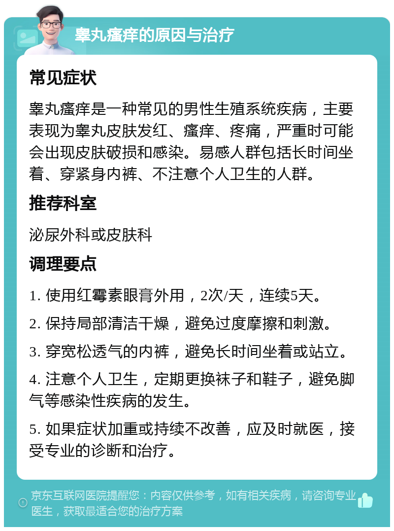 睾丸瘙痒的原因与治疗 常见症状 睾丸瘙痒是一种常见的男性生殖系统疾病，主要表现为睾丸皮肤发红、瘙痒、疼痛，严重时可能会出现皮肤破损和感染。易感人群包括长时间坐着、穿紧身内裤、不注意个人卫生的人群。 推荐科室 泌尿外科或皮肤科 调理要点 1. 使用红霉素眼膏外用，2次/天，连续5天。 2. 保持局部清洁干燥，避免过度摩擦和刺激。 3. 穿宽松透气的内裤，避免长时间坐着或站立。 4. 注意个人卫生，定期更换袜子和鞋子，避免脚气等感染性疾病的发生。 5. 如果症状加重或持续不改善，应及时就医，接受专业的诊断和治疗。