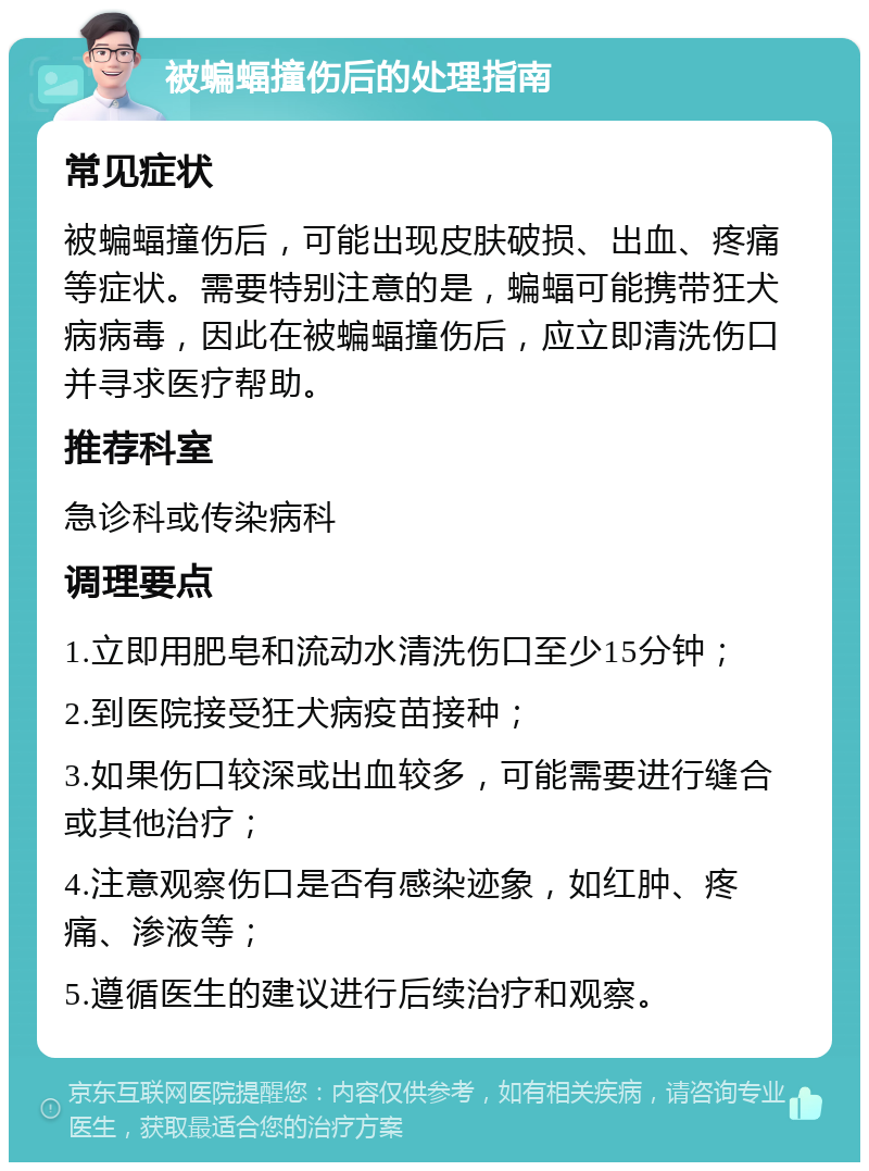 被蝙蝠撞伤后的处理指南 常见症状 被蝙蝠撞伤后，可能出现皮肤破损、出血、疼痛等症状。需要特别注意的是，蝙蝠可能携带狂犬病病毒，因此在被蝙蝠撞伤后，应立即清洗伤口并寻求医疗帮助。 推荐科室 急诊科或传染病科 调理要点 1.立即用肥皂和流动水清洗伤口至少15分钟； 2.到医院接受狂犬病疫苗接种； 3.如果伤口较深或出血较多，可能需要进行缝合或其他治疗； 4.注意观察伤口是否有感染迹象，如红肿、疼痛、渗液等； 5.遵循医生的建议进行后续治疗和观察。