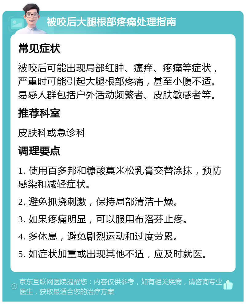 被咬后大腿根部疼痛处理指南 常见症状 被咬后可能出现局部红肿、瘙痒、疼痛等症状，严重时可能引起大腿根部疼痛，甚至小腹不适。易感人群包括户外活动频繁者、皮肤敏感者等。 推荐科室 皮肤科或急诊科 调理要点 1. 使用百多邦和糠酸莫米松乳膏交替涂抹，预防感染和减轻症状。 2. 避免抓挠刺激，保持局部清洁干燥。 3. 如果疼痛明显，可以服用布洛芬止疼。 4. 多休息，避免剧烈运动和过度劳累。 5. 如症状加重或出现其他不适，应及时就医。