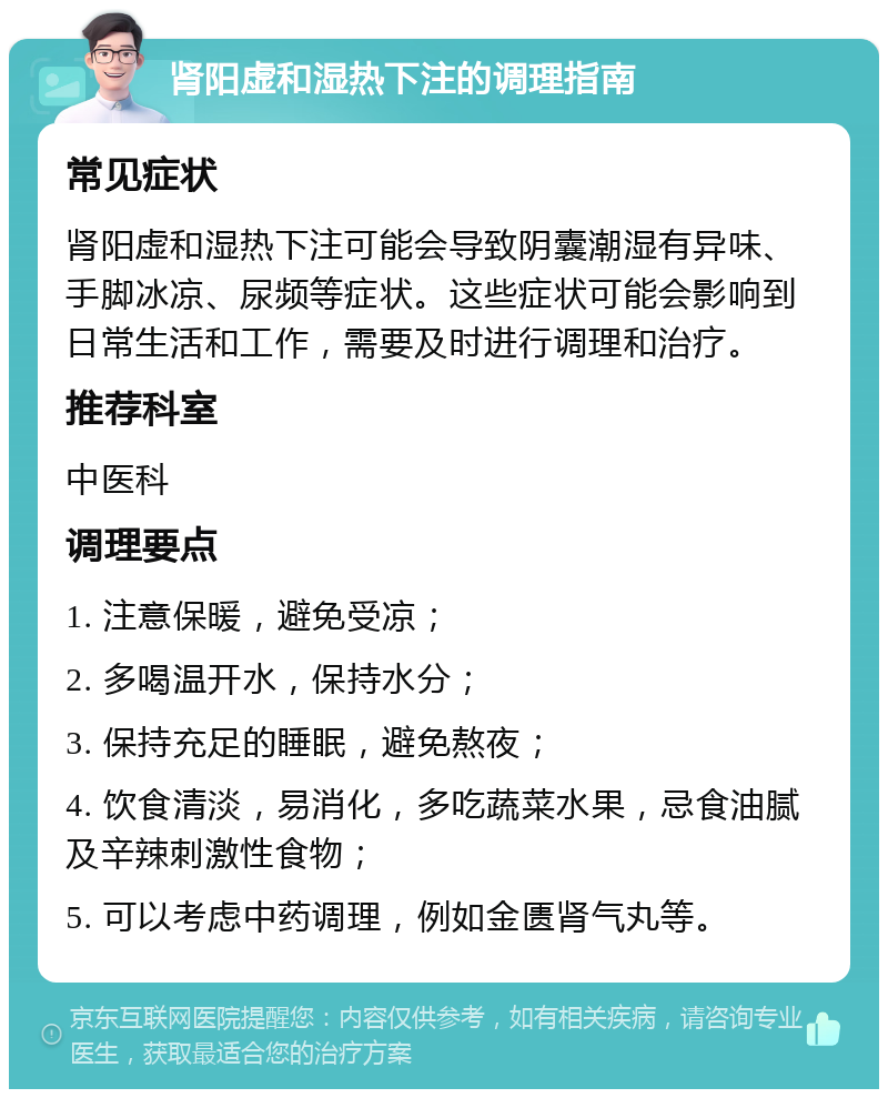 肾阳虚和湿热下注的调理指南 常见症状 肾阳虚和湿热下注可能会导致阴囊潮湿有异味、手脚冰凉、尿频等症状。这些症状可能会影响到日常生活和工作，需要及时进行调理和治疗。 推荐科室 中医科 调理要点 1. 注意保暖，避免受凉； 2. 多喝温开水，保持水分； 3. 保持充足的睡眠，避免熬夜； 4. 饮食清淡，易消化，多吃蔬菜水果，忌食油腻及辛辣刺激性食物； 5. 可以考虑中药调理，例如金匮肾气丸等。