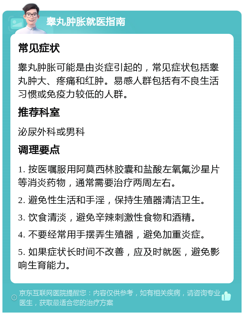 睾丸肿胀就医指南 常见症状 睾丸肿胀可能是由炎症引起的，常见症状包括睾丸肿大、疼痛和红肿。易感人群包括有不良生活习惯或免疫力较低的人群。 推荐科室 泌尿外科或男科 调理要点 1. 按医嘱服用阿莫西林胶囊和盐酸左氧氟沙星片等消炎药物，通常需要治疗两周左右。 2. 避免性生活和手淫，保持生殖器清洁卫生。 3. 饮食清淡，避免辛辣刺激性食物和酒精。 4. 不要经常用手摆弄生殖器，避免加重炎症。 5. 如果症状长时间不改善，应及时就医，避免影响生育能力。