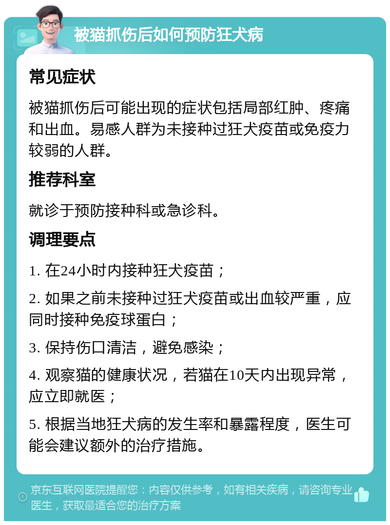 猫抓病怎么治疗图片