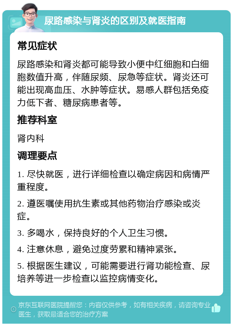 尿路感染与肾炎的区别及就医指南 常见症状 尿路感染和肾炎都可能导致小便中红细胞和白细胞数值升高，伴随尿频、尿急等症状。肾炎还可能出现高血压、水肿等症状。易感人群包括免疫力低下者、糖尿病患者等。 推荐科室 肾内科 调理要点 1. 尽快就医，进行详细检查以确定病因和病情严重程度。 2. 遵医嘱使用抗生素或其他药物治疗感染或炎症。 3. 多喝水，保持良好的个人卫生习惯。 4. 注意休息，避免过度劳累和精神紧张。 5. 根据医生建议，可能需要进行肾功能检查、尿培养等进一步检查以监控病情变化。