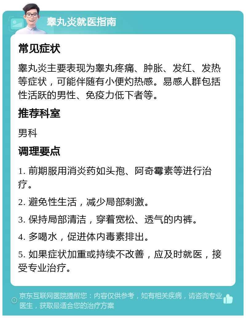 睾丸炎就医指南 常见症状 睾丸炎主要表现为睾丸疼痛、肿胀、发红、发热等症状，可能伴随有小便灼热感。易感人群包括性活跃的男性、免疫力低下者等。 推荐科室 男科 调理要点 1. 前期服用消炎药如头孢、阿奇霉素等进行治疗。 2. 避免性生活，减少局部刺激。 3. 保持局部清洁，穿着宽松、透气的内裤。 4. 多喝水，促进体内毒素排出。 5. 如果症状加重或持续不改善，应及时就医，接受专业治疗。