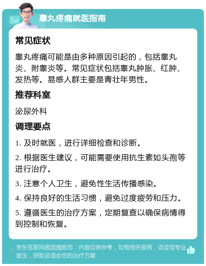 睾丸疼痛就医指南 常见症状 睾丸疼痛可能是由多种原因引起的，包括睾丸炎、附睾炎等。常见症状包括睾丸肿胀、红肿、发热等。易感人群主要是青壮年男性。 推荐科室 泌尿外科 调理要点 1. 及时就医，进行详细检查和诊断。 2. 根据医生建议，可能需要使用抗生素如头孢等进行治疗。 3. 注意个人卫生，避免性生活传播感染。 4. 保持良好的生活习惯，避免过度疲劳和压力。 5. 遵循医生的治疗方案，定期复查以确保病情得到控制和恢复。