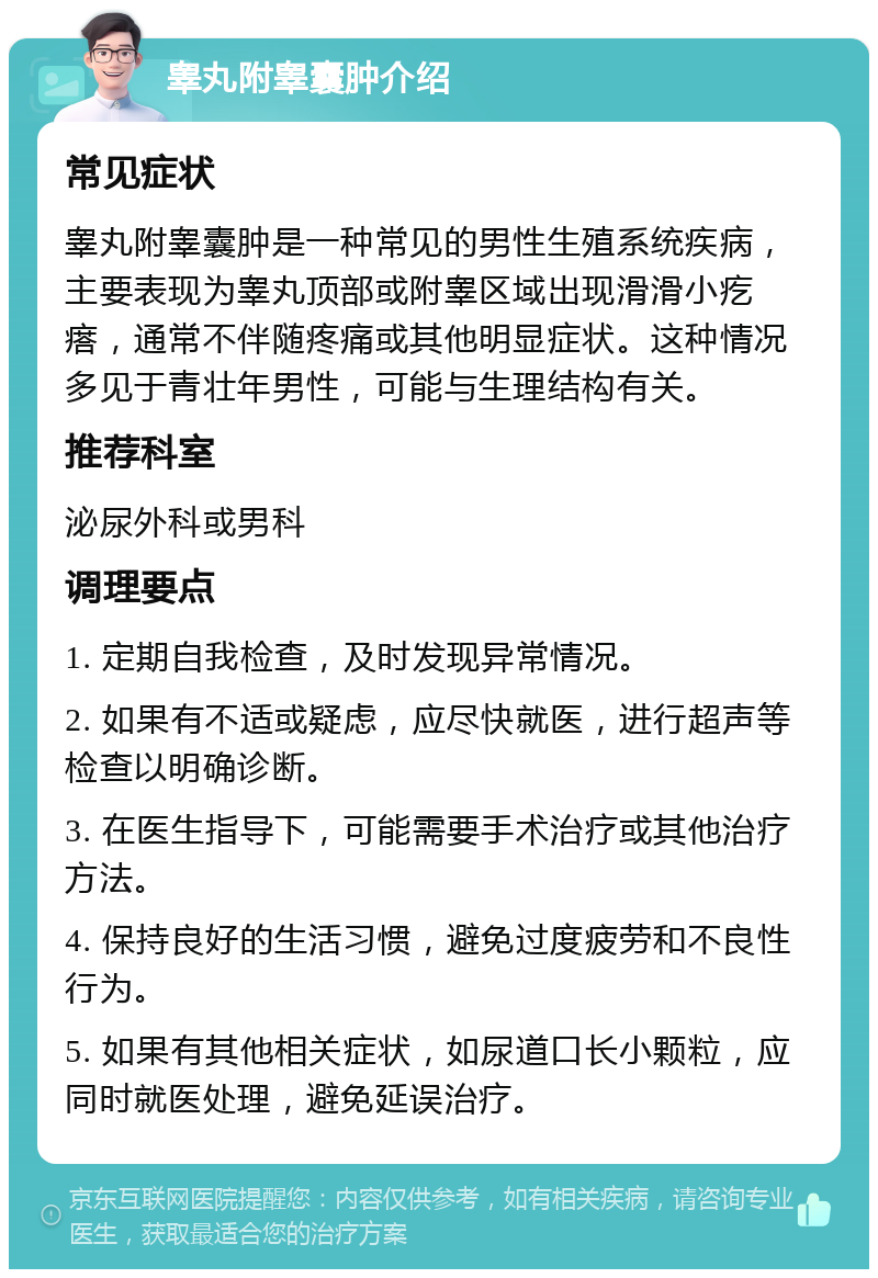 睾丸附睾囊肿介绍 常见症状 睾丸附睾囊肿是一种常见的男性生殖系统疾病，主要表现为睾丸顶部或附睾区域出现滑滑小疙瘩，通常不伴随疼痛或其他明显症状。这种情况多见于青壮年男性，可能与生理结构有关。 推荐科室 泌尿外科或男科 调理要点 1. 定期自我检查，及时发现异常情况。 2. 如果有不适或疑虑，应尽快就医，进行超声等检查以明确诊断。 3. 在医生指导下，可能需要手术治疗或其他治疗方法。 4. 保持良好的生活习惯，避免过度疲劳和不良性行为。 5. 如果有其他相关症状，如尿道口长小颗粒，应同时就医处理，避免延误治疗。