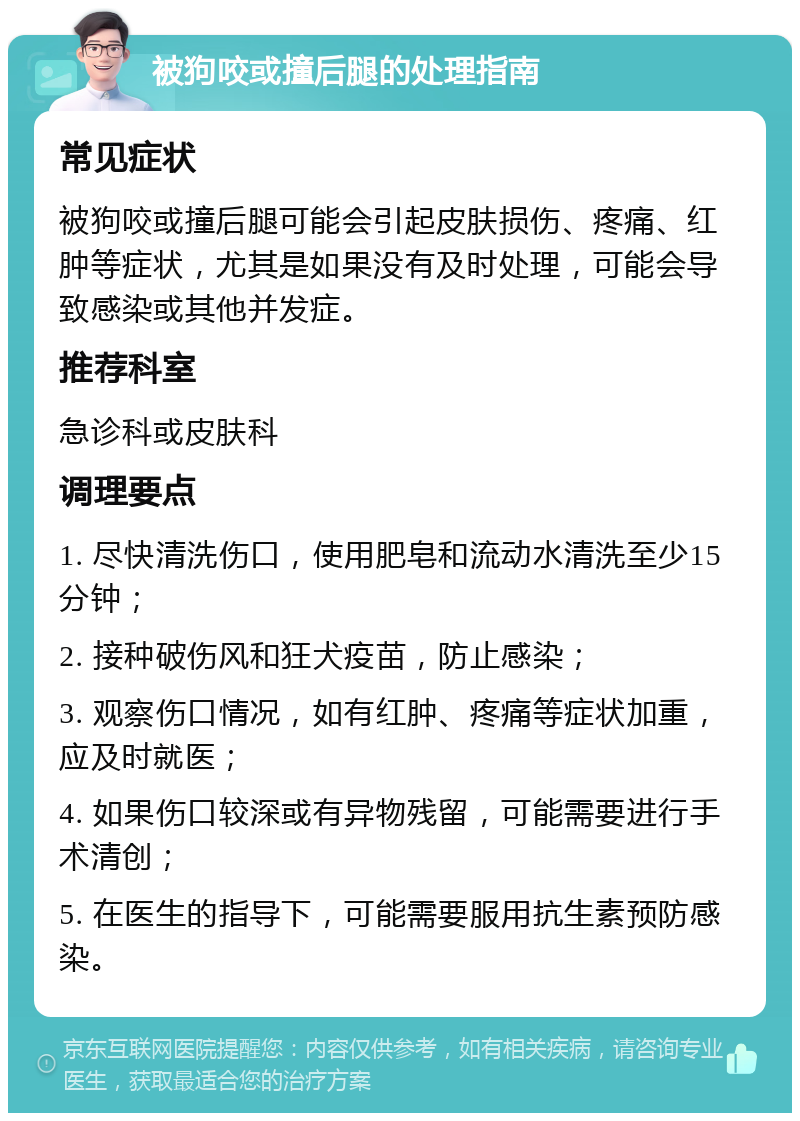 被狗咬或撞后腿的处理指南 常见症状 被狗咬或撞后腿可能会引起皮肤损伤、疼痛、红肿等症状，尤其是如果没有及时处理，可能会导致感染或其他并发症。 推荐科室 急诊科或皮肤科 调理要点 1. 尽快清洗伤口，使用肥皂和流动水清洗至少15分钟； 2. 接种破伤风和狂犬疫苗，防止感染； 3. 观察伤口情况，如有红肿、疼痛等症状加重，应及时就医； 4. 如果伤口较深或有异物残留，可能需要进行手术清创； 5. 在医生的指导下，可能需要服用抗生素预防感染。