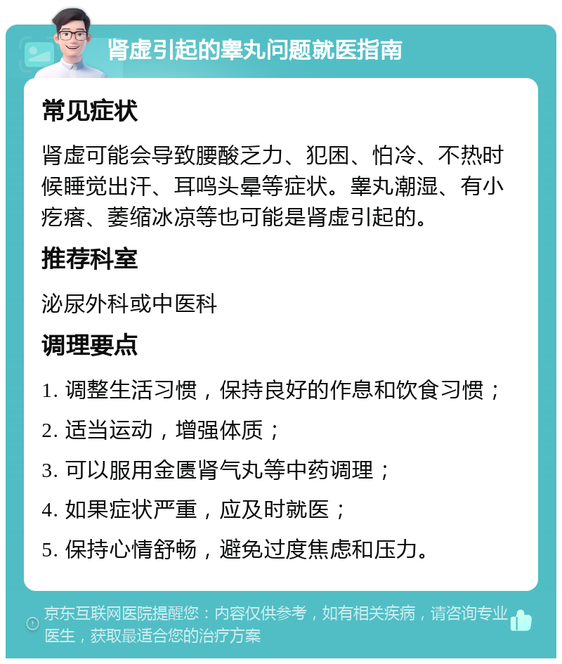 肾虚引起的睾丸问题就医指南 常见症状 肾虚可能会导致腰酸乏力、犯困、怕冷、不热时候睡觉出汗、耳鸣头晕等症状。睾丸潮湿、有小疙瘩、萎缩冰凉等也可能是肾虚引起的。 推荐科室 泌尿外科或中医科 调理要点 1. 调整生活习惯，保持良好的作息和饮食习惯； 2. 适当运动，增强体质； 3. 可以服用金匮肾气丸等中药调理； 4. 如果症状严重，应及时就医； 5. 保持心情舒畅，避免过度焦虑和压力。