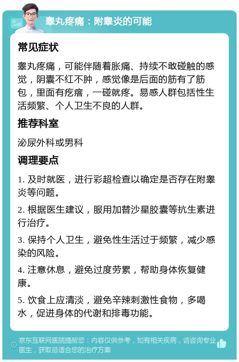 睾丸疼痛：附睾炎的可能 常见症状 睾丸疼痛，可能伴随着胀痛、持续不敢碰触的感觉，阴囊不红不肿，感觉像是后面的筋有了筋包，里面有疙瘩，一碰就疼。易感人群包括性生活频繁、个人卫生不良的人群。 推荐科室 泌尿外科或男科 调理要点 1. 及时就医，进行彩超检查以确定是否存在附睾炎等问题。 2. 根据医生建议，服用加替沙星胶囊等抗生素进行治疗。 3. 保持个人卫生，避免性生活过于频繁，减少感染的风险。 4. 注意休息，避免过度劳累，帮助身体恢复健康。 5. 饮食上应清淡，避免辛辣刺激性食物，多喝水，促进身体的代谢和排毒功能。