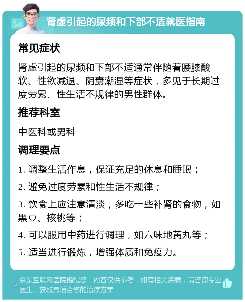 肾虚引起的尿频和下部不适就医指南 常见症状 肾虚引起的尿频和下部不适通常伴随着腰膝酸软、性欲减退、阴囊潮湿等症状，多见于长期过度劳累、性生活不规律的男性群体。 推荐科室 中医科或男科 调理要点 1. 调整生活作息，保证充足的休息和睡眠； 2. 避免过度劳累和性生活不规律； 3. 饮食上应注意清淡，多吃一些补肾的食物，如黑豆、核桃等； 4. 可以服用中药进行调理，如六味地黄丸等； 5. 适当进行锻炼，增强体质和免疫力。