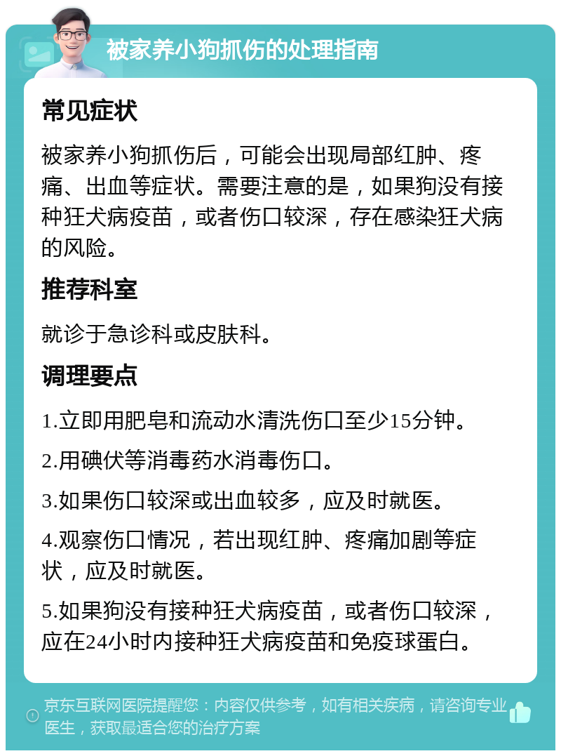 被家养小狗抓伤的处理指南 常见症状 被家养小狗抓伤后，可能会出现局部红肿、疼痛、出血等症状。需要注意的是，如果狗没有接种狂犬病疫苗，或者伤口较深，存在感染狂犬病的风险。 推荐科室 就诊于急诊科或皮肤科。 调理要点 1.立即用肥皂和流动水清洗伤口至少15分钟。 2.用碘伏等消毒药水消毒伤口。 3.如果伤口较深或出血较多，应及时就医。 4.观察伤口情况，若出现红肿、疼痛加剧等症状，应及时就医。 5.如果狗没有接种狂犬病疫苗，或者伤口较深，应在24小时内接种狂犬病疫苗和免疫球蛋白。