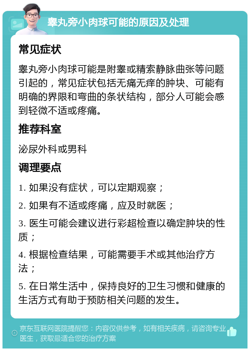 睾丸旁小肉球可能的原因及处理 常见症状 睾丸旁小肉球可能是附睾或精索静脉曲张等问题引起的，常见症状包括无痛无痒的肿块、可能有明确的界限和弯曲的条状结构，部分人可能会感到轻微不适或疼痛。 推荐科室 泌尿外科或男科 调理要点 1. 如果没有症状，可以定期观察； 2. 如果有不适或疼痛，应及时就医； 3. 医生可能会建议进行彩超检查以确定肿块的性质； 4. 根据检查结果，可能需要手术或其他治疗方法； 5. 在日常生活中，保持良好的卫生习惯和健康的生活方式有助于预防相关问题的发生。