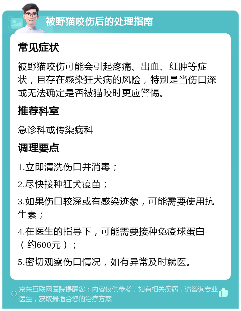 被野猫咬伤后的处理指南 常见症状 被野猫咬伤可能会引起疼痛、出血、红肿等症状，且存在感染狂犬病的风险，特别是当伤口深或无法确定是否被猫咬时更应警惕。 推荐科室 急诊科或传染病科 调理要点 1.立即清洗伤口并消毒； 2.尽快接种狂犬疫苗； 3.如果伤口较深或有感染迹象，可能需要使用抗生素； 4.在医生的指导下，可能需要接种免疫球蛋白（约600元）； 5.密切观察伤口情况，如有异常及时就医。