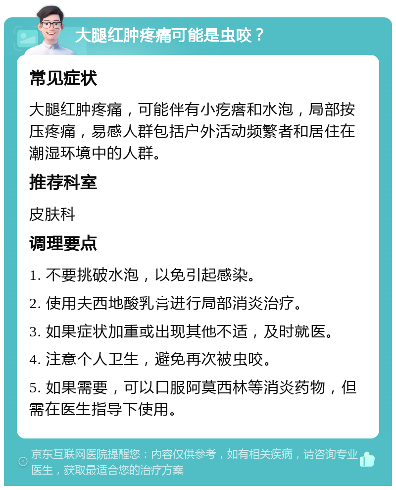 大腿红肿疼痛可能是虫咬？ 常见症状 大腿红肿疼痛，可能伴有小疙瘩和水泡，局部按压疼痛，易感人群包括户外活动频繁者和居住在潮湿环境中的人群。 推荐科室 皮肤科 调理要点 1. 不要挑破水泡，以免引起感染。 2. 使用夫西地酸乳膏进行局部消炎治疗。 3. 如果症状加重或出现其他不适，及时就医。 4. 注意个人卫生，避免再次被虫咬。 5. 如果需要，可以口服阿莫西林等消炎药物，但需在医生指导下使用。