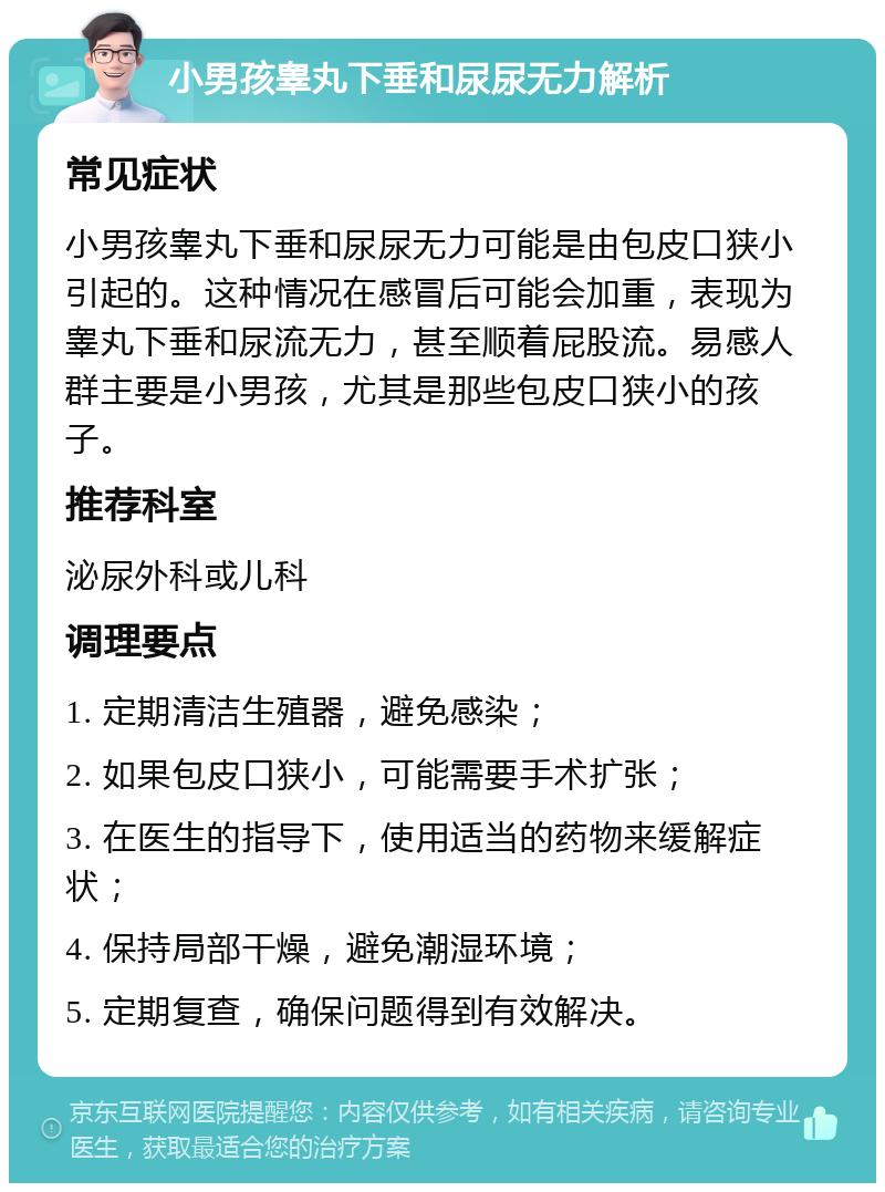 小男孩睾丸下垂和尿尿无力解析 常见症状 小男孩睾丸下垂和尿尿无力可能是由包皮口狭小引起的。这种情况在感冒后可能会加重，表现为睾丸下垂和尿流无力，甚至顺着屁股流。易感人群主要是小男孩，尤其是那些包皮口狭小的孩子。 推荐科室 泌尿外科或儿科 调理要点 1. 定期清洁生殖器，避免感染； 2. 如果包皮口狭小，可能需要手术扩张； 3. 在医生的指导下，使用适当的药物来缓解症状； 4. 保持局部干燥，避免潮湿环境； 5. 定期复查，确保问题得到有效解决。