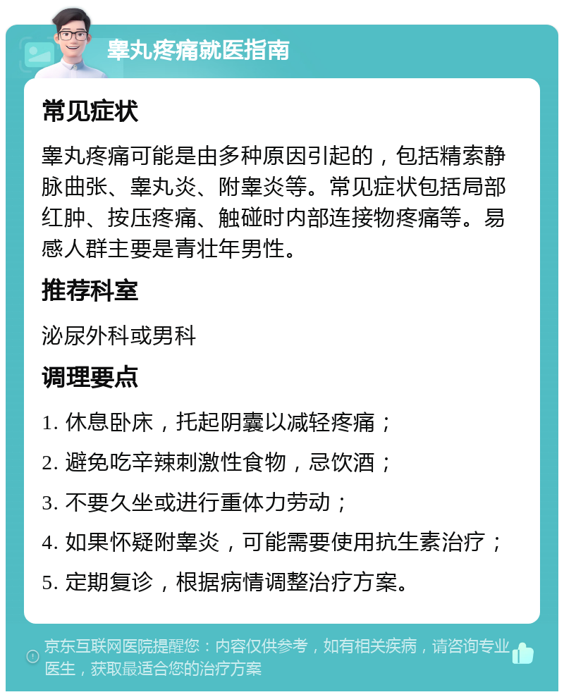 睾丸疼痛就医指南 常见症状 睾丸疼痛可能是由多种原因引起的，包括精索静脉曲张、睾丸炎、附睾炎等。常见症状包括局部红肿、按压疼痛、触碰时内部连接物疼痛等。易感人群主要是青壮年男性。 推荐科室 泌尿外科或男科 调理要点 1. 休息卧床，托起阴囊以减轻疼痛； 2. 避免吃辛辣刺激性食物，忌饮酒； 3. 不要久坐或进行重体力劳动； 4. 如果怀疑附睾炎，可能需要使用抗生素治疗； 5. 定期复诊，根据病情调整治疗方案。