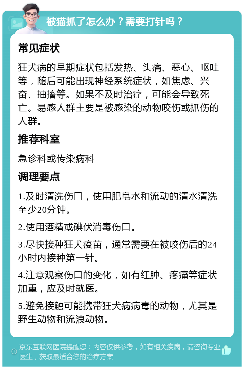 猫抓病怎么治疗图片