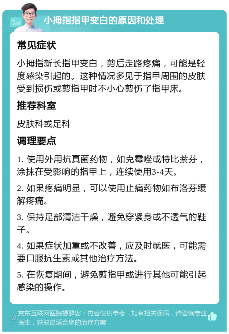 小拇指指甲变白的原因和处理 常见症状 小拇指新长指甲变白，剪后走路疼痛，可能是轻度感染引起的。这种情况多见于指甲周围的皮肤受到损伤或剪指甲时不小心剪伤了指甲床。 推荐科室 皮肤科或足科 调理要点 1. 使用外用抗真菌药物，如克霉唑或特比萘芬，涂抹在受影响的指甲上，连续使用3-4天。 2. 如果疼痛明显，可以使用止痛药物如布洛芬缓解疼痛。 3. 保持足部清洁干燥，避免穿紧身或不透气的鞋子。 4. 如果症状加重或不改善，应及时就医，可能需要口服抗生素或其他治疗方法。 5. 在恢复期间，避免剪指甲或进行其他可能引起感染的操作。