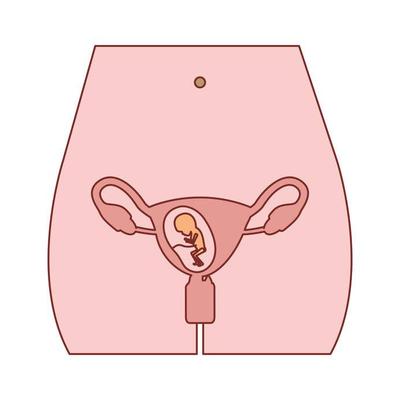 人工授精后出血正常吗人工授精后这些症状介绍 京东健康