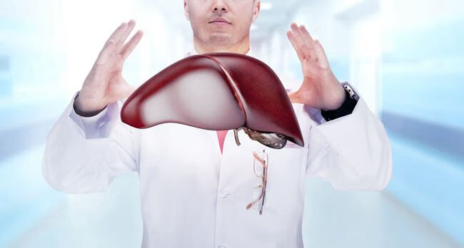 中医如何对付脂肪肝