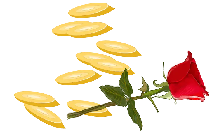 红茶和玫瑰花能一起泡吗